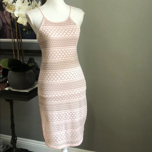 Poetry Dresses & Skirts - (Sold) Poetry Bodycon Formfitting Blush Lace Dress